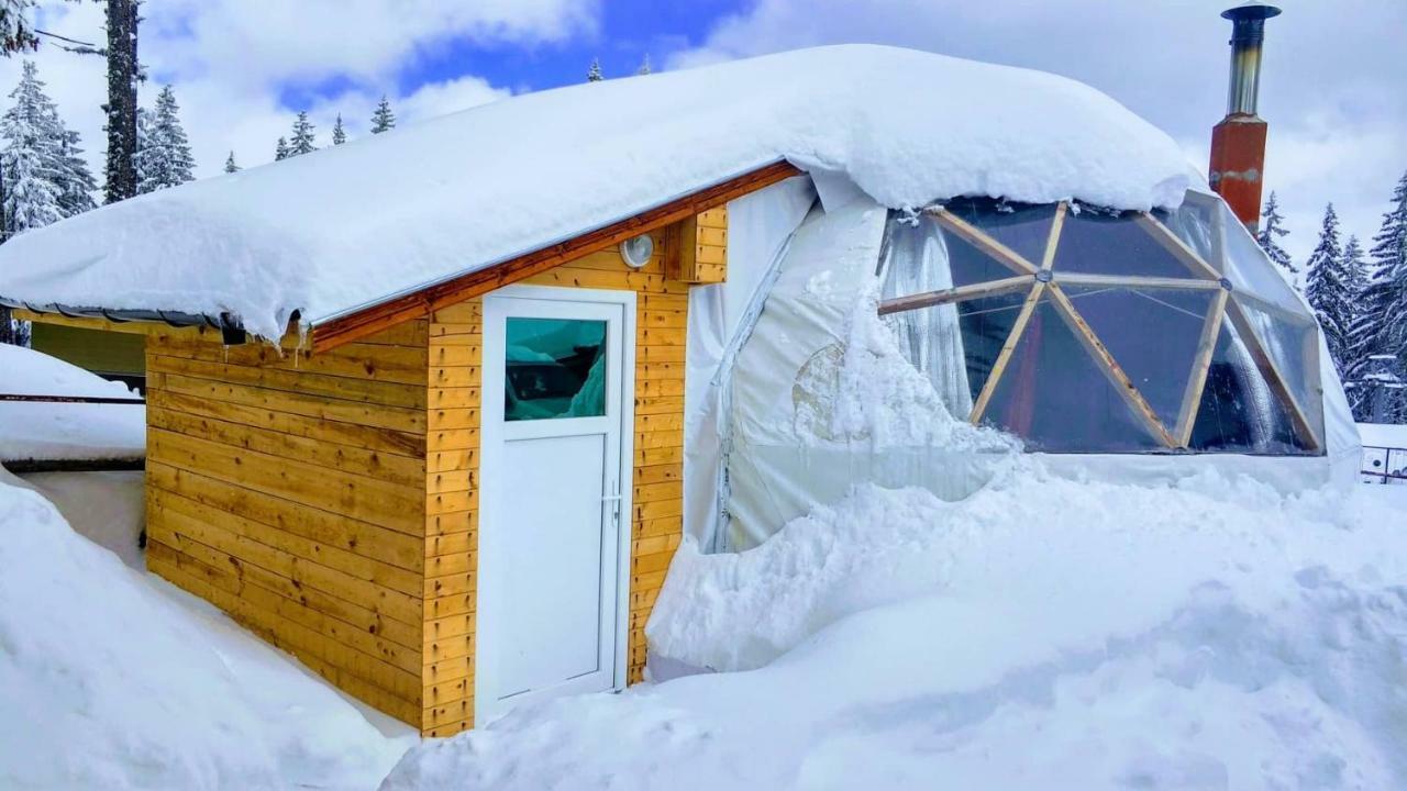 Отель Igloo In The Woods - New, Warm And Inspiring Пампорово Экстерьер фото